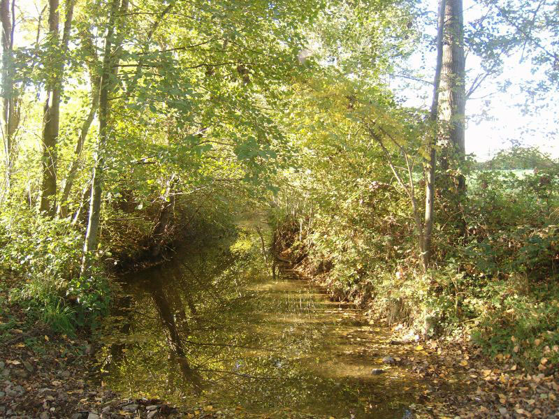 Vue sur le Brévenne
