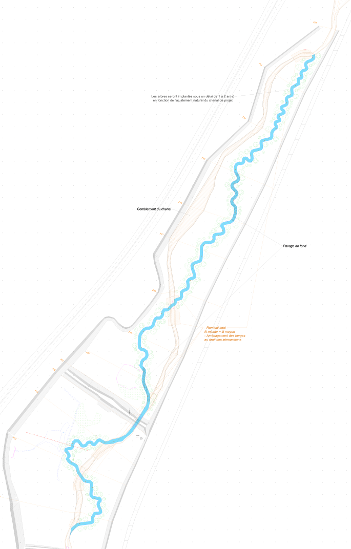 Plan de masse du projet de réméandrement du Lange fait sous Autocad