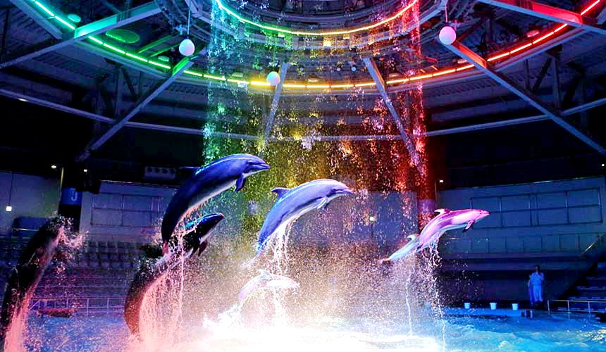 Aqua Park 品川水族館門票東京品川王子大飯店水族館 Guvxn