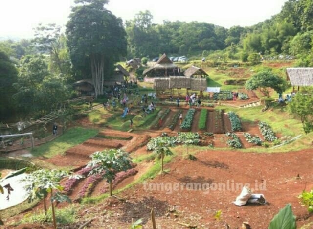 Santai sore di kampung konservasi rimbun di ciater, serpong, tangerang selatan. Kampung Inggris Di Konservasi Rimbun Tangsel Atmago