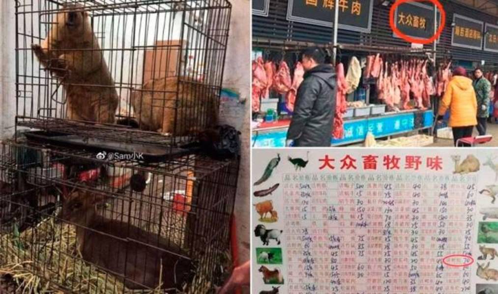 El uso de vestuarios y de duchas tendrá un aforo del. Wuhan prohÃbe el consumo de animales salvajes por 5 años