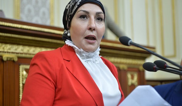 النائبة هالة أبو السعد، وكيل لجنة المشروعات الصغيرة