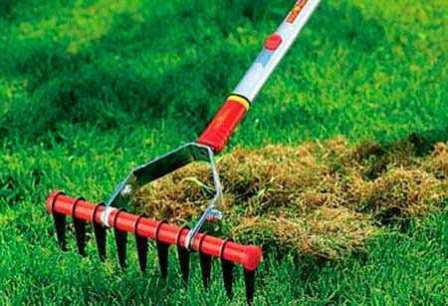 iso tissi lesbo seksiä kuvia