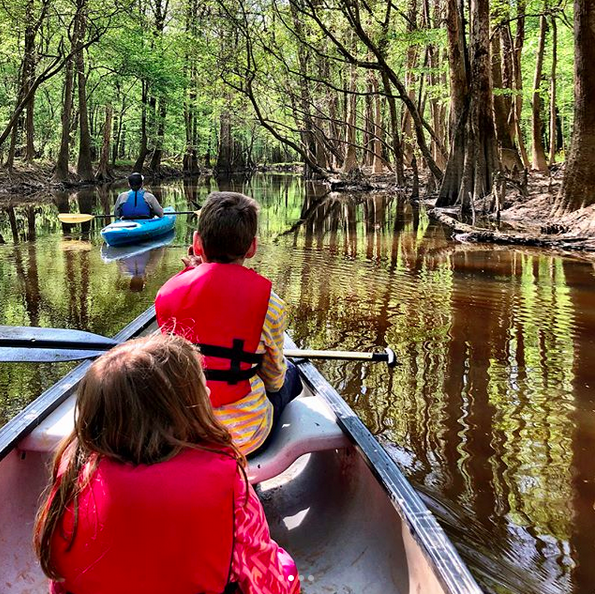 camping and canoeing at Congaree National Park Dadcation
