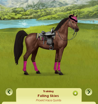 Create your own equestrian center, enter competitions and. Howrse Proekt Howrse
