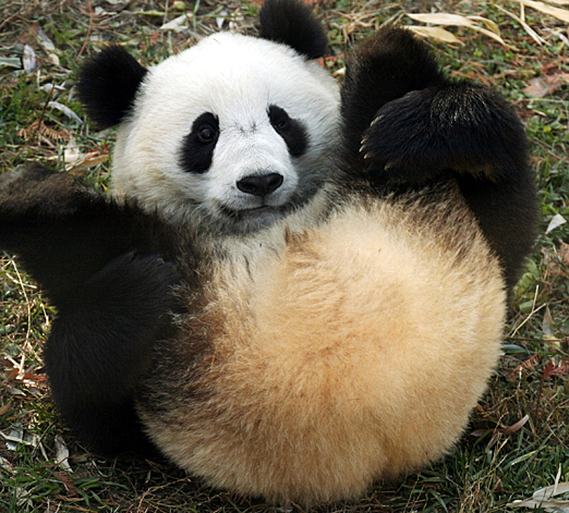 Dalene, katie jones and ted. Daleneville