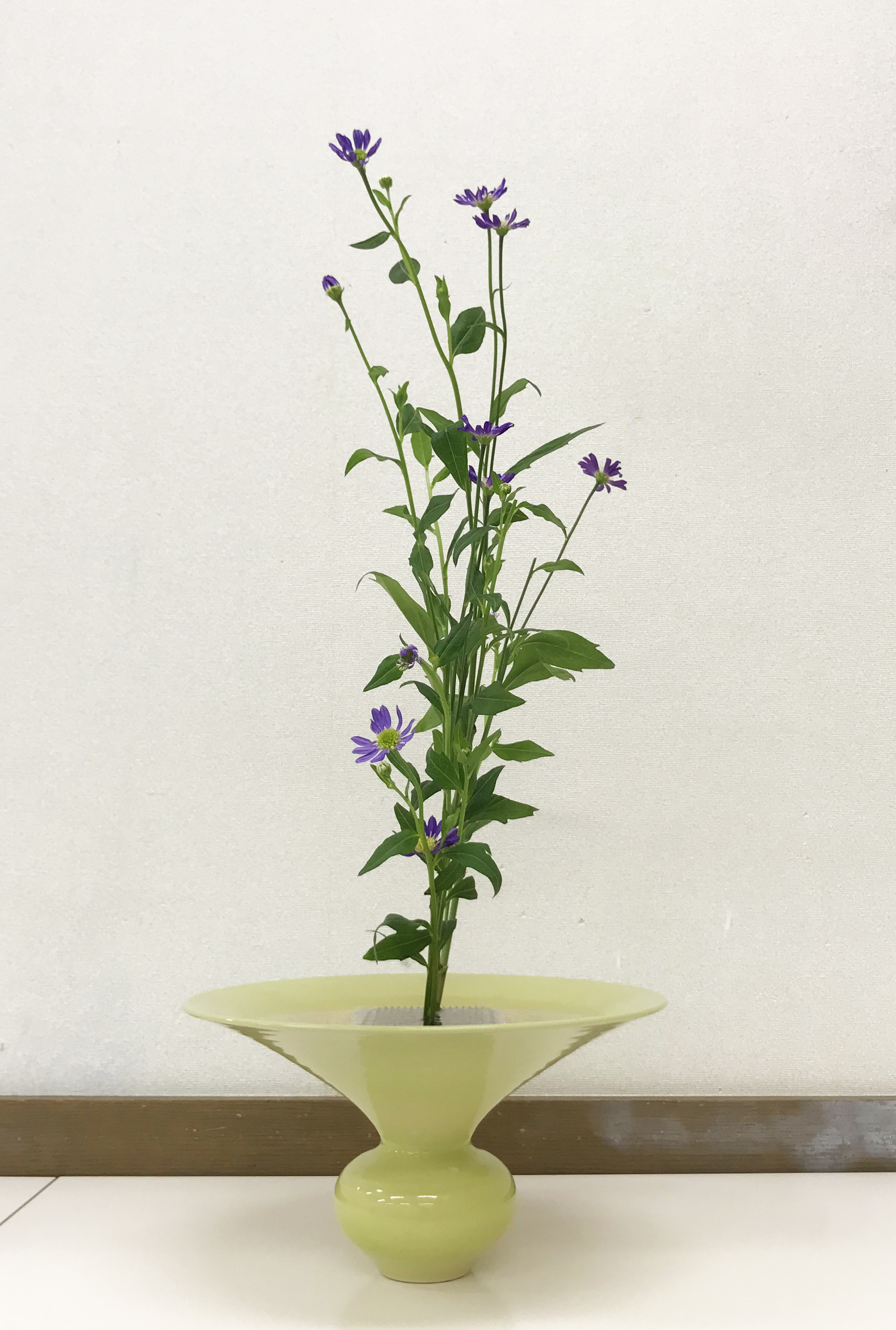 生花 ミヤコワスレ 逆勝手 いけばなはじめました