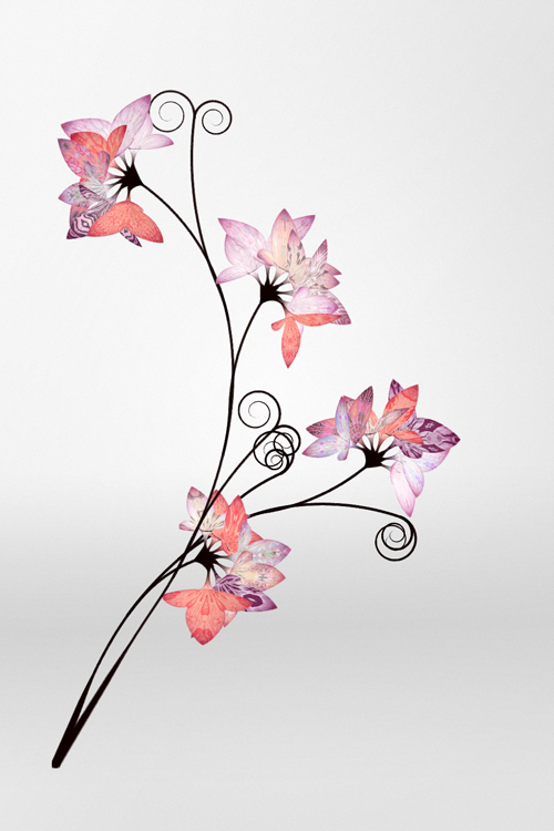 We use them to decorate our homes and gardens, and we use them to prepare for major events, l. Daniel Brown S