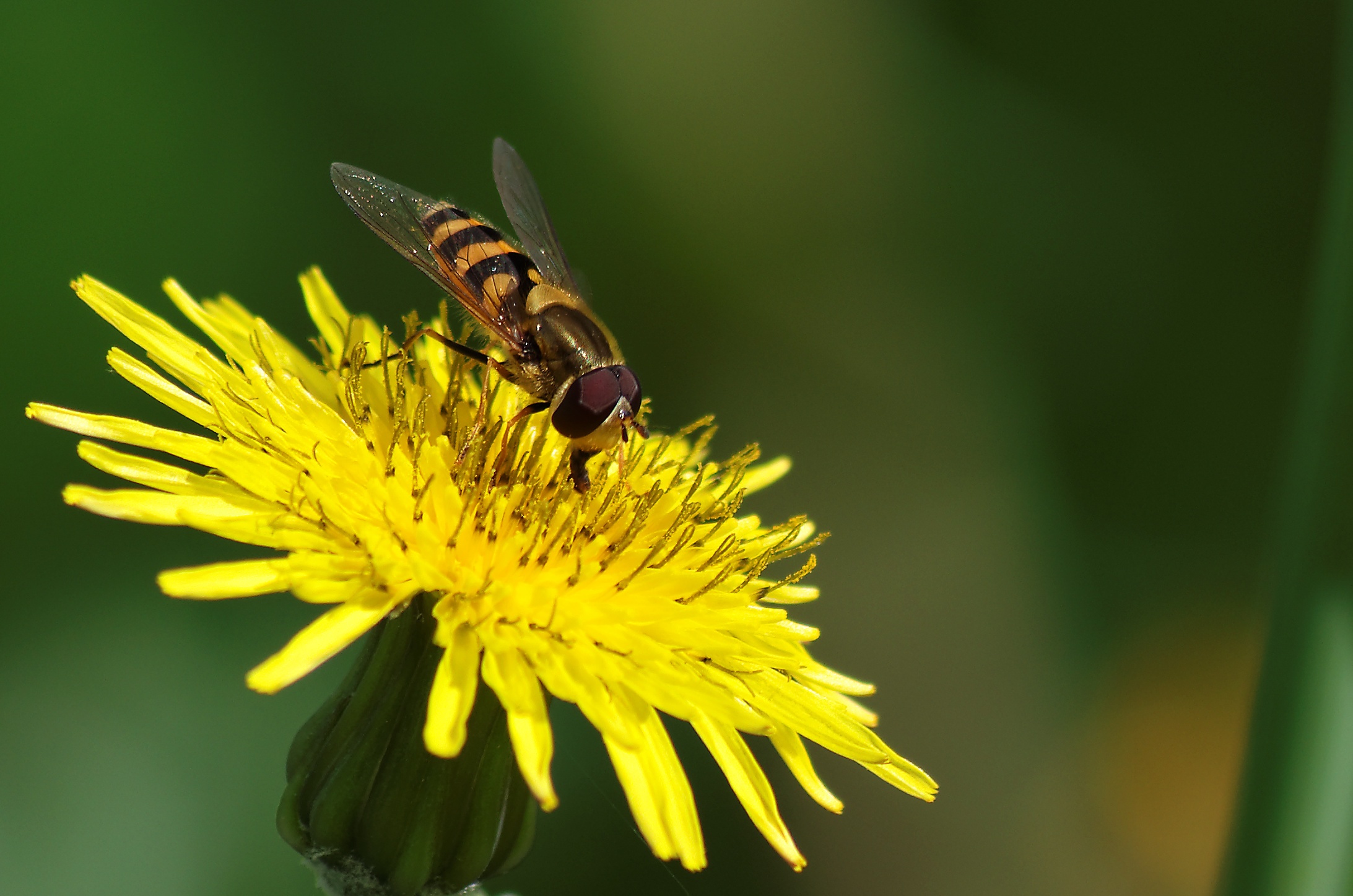 Les tutoriels intérmédiaires