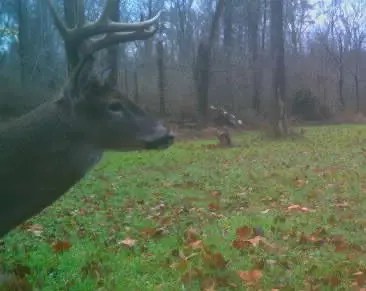 No more than seven days after the refuge's deer season closes. Hunting seasons: Mark your calendars, take your guns in the house - Darkhorse Press