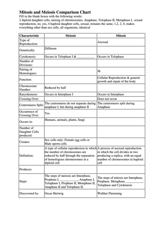 Comparison of the processes of mitosis and meiosis. Mitosis And Meiosis Comparison Chart Printable Pdf Download
