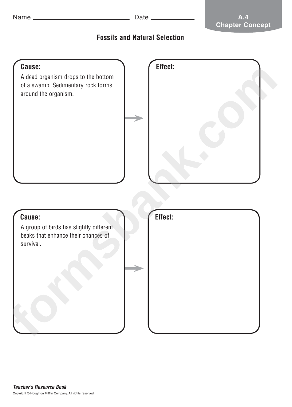 What two processes can lead to inherited variation in populations? Fossils And Natural Selection Cause And Effect Biology Worksheet Printable Pdf Download