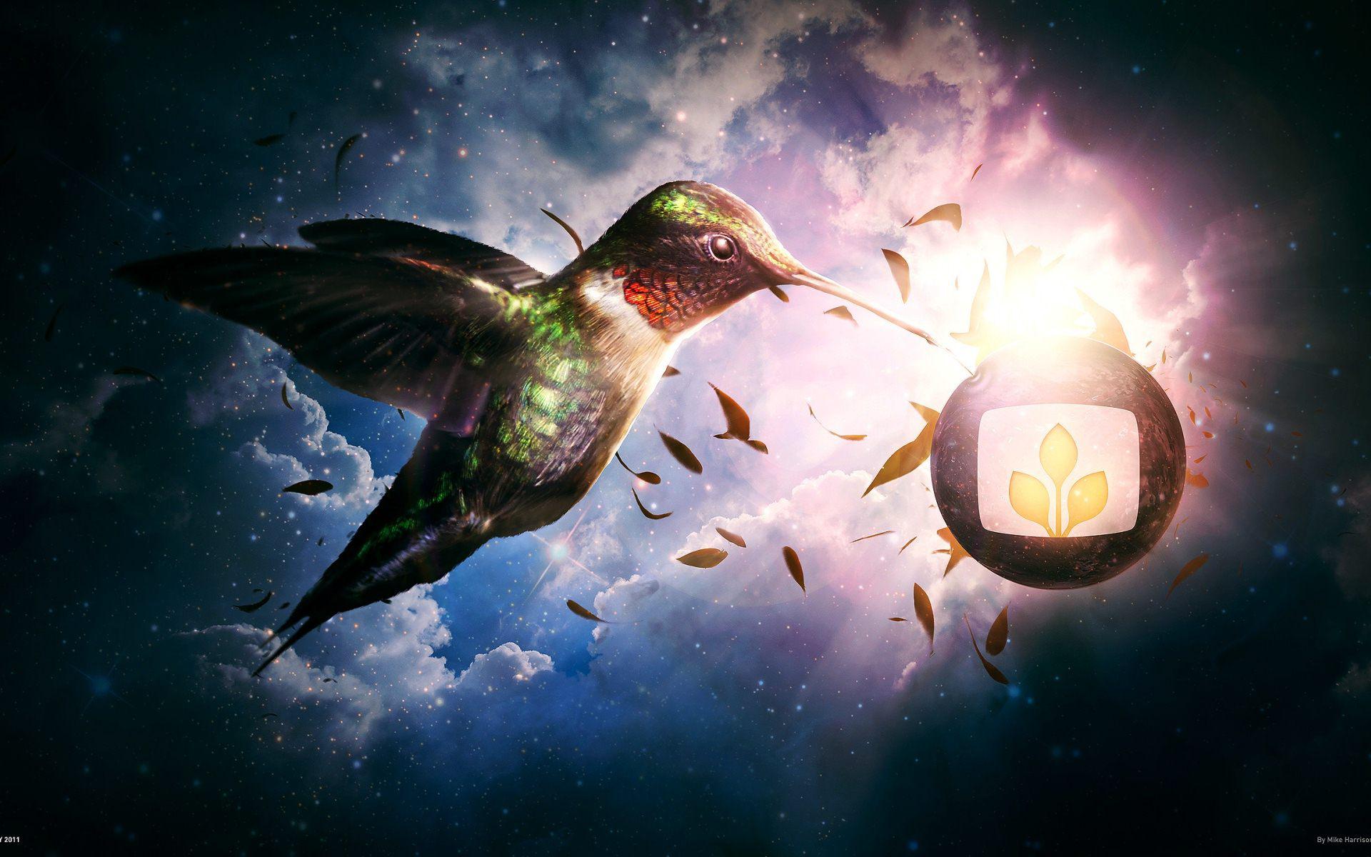 Become the psychiatrist turned super villain with this amazing quality harley quinn costume! HD Nectar Heaven Bird Wallpaper | Download Free - 138990