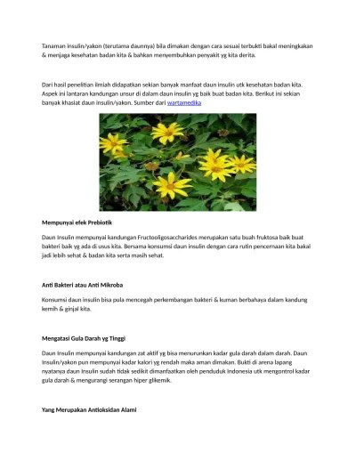 Manfaat Daun Insulin Untuk Penyembuh Pen (1)