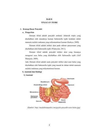 Laporan dan pendahuluan typoid Indonesia
