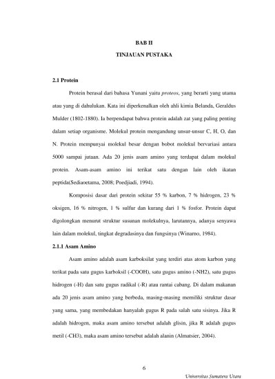 Kode genetik menggambarkan hubungan antara urutan pasangan basa dalam gen (mrna) dengan urutan asam amino yang sesuai. Bab Ii Tinjauan Pustaka Protein Berasal Dari Bahasa Yunani Yaitu Proteos Yang Berarti Yang Utama