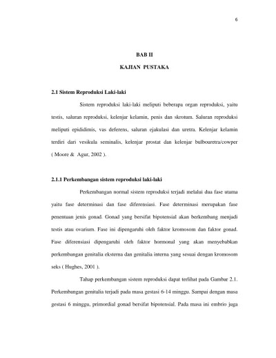 Makalah sistem reproduksi pria. docx