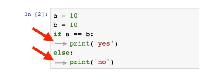 Python from Scratch - copyassignment.com