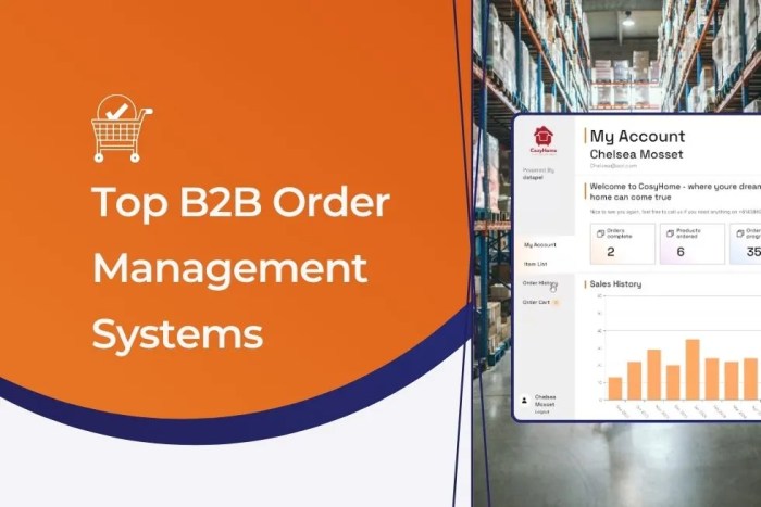 B2b order management