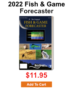 Harbours and marinas can often times be productive fishing spots for land based fishing as their sheltered … Fishing Hunting And Birding Success