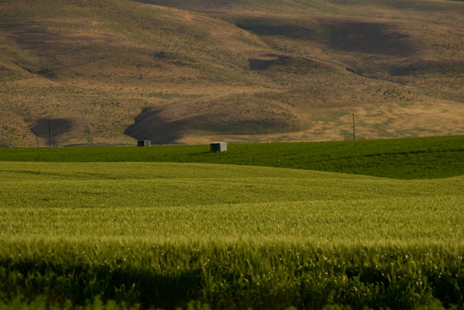 Prepare to hit the books or gain hands on experience. Walla Walla, WA | Data USA
