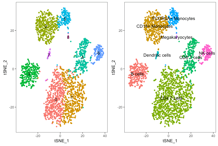 Getting started with Seurat - Dave Tang's blog