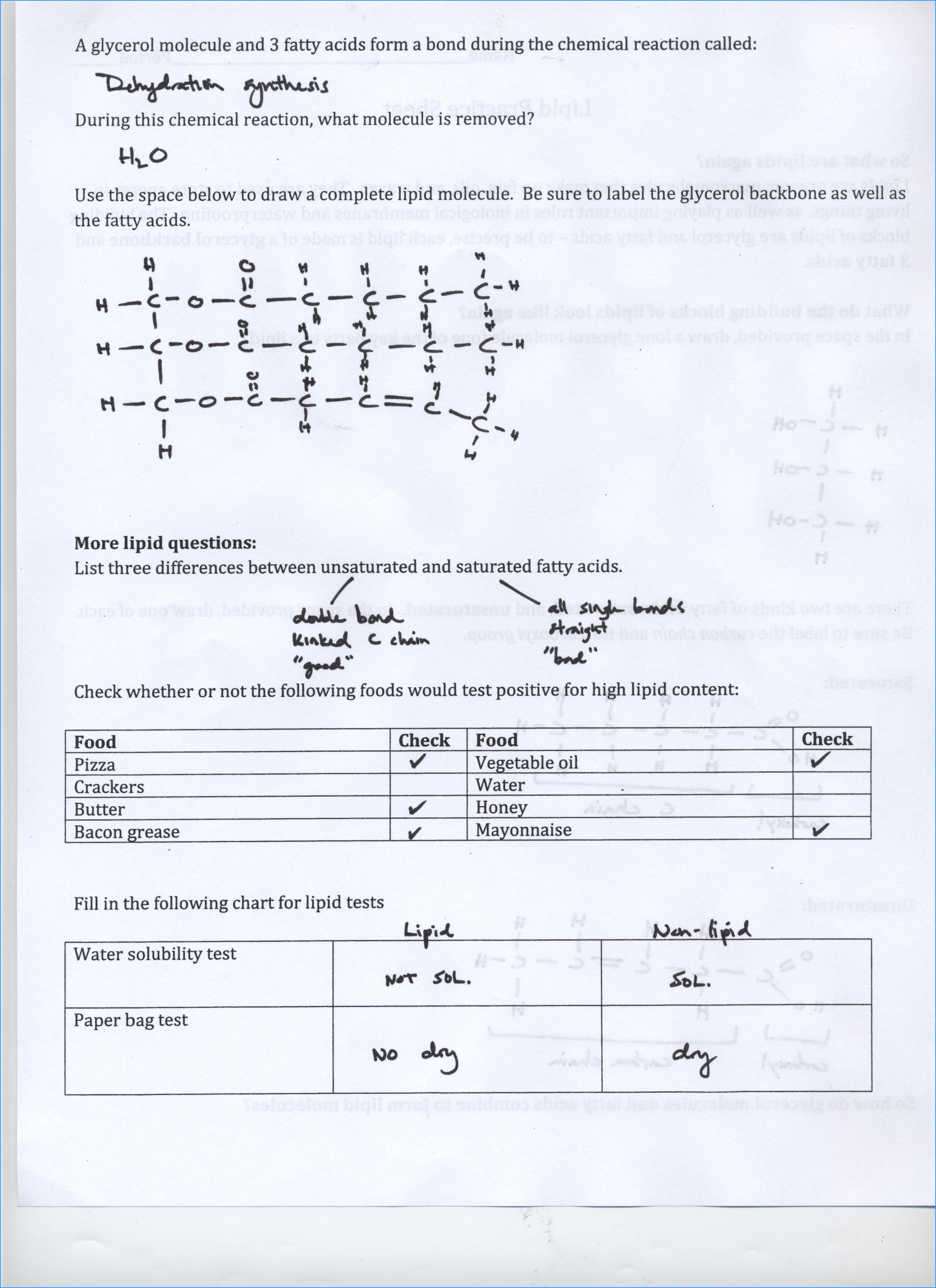 periodic table groups worksheet pdf unique reading db