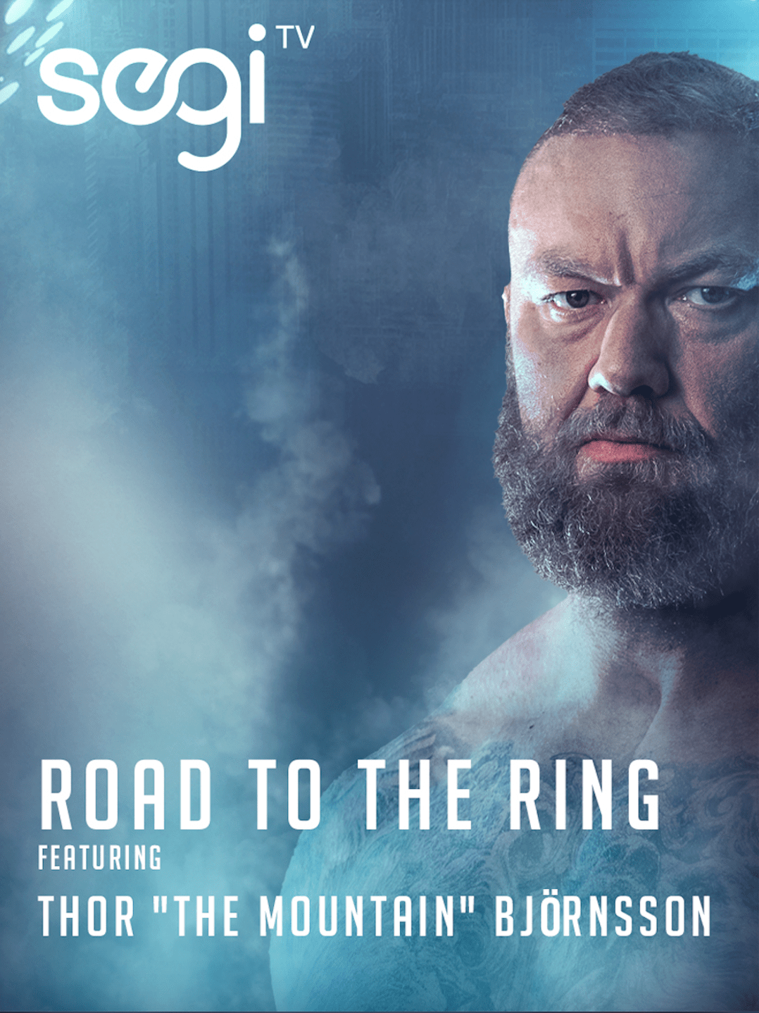 Speaking about the pioneering approach to streaming content, edward sylvan, ceo of sycamore entertainment group inc and founder of segi.tv, said: Segi Tv