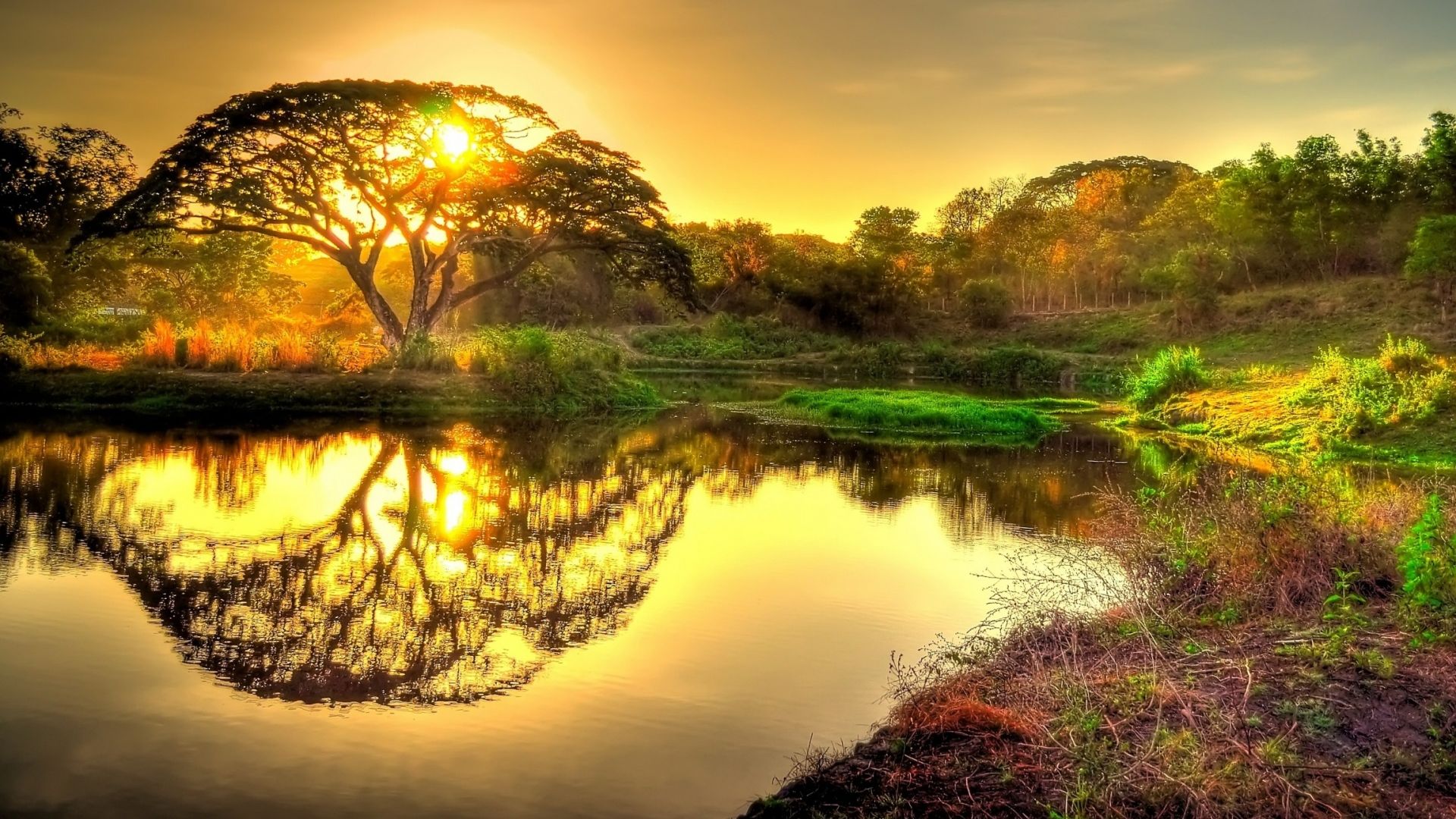 1760 عمن اجمل تصميمات خلفيات هاتف محمول هى خلفيات ملونه متحركه و خلفيات موبايل تعبر. Ø®ÙÙÙØ§Øª Ø±Ø§Ø¦Ø¹Ø© , Ø§Ø¬ÙÙ Ø§ÙØ®ÙÙÙØ§Øª Ø¹ÙÙ Ø§ÙØ§Ø·ÙØ§Ù - Ø§ÙÙÙØ§Ù