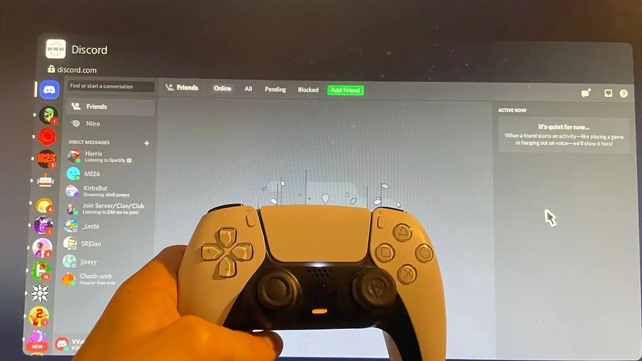 Kya helps moderate dog breeder game and rbg's discord server, . How To Use Discord On Ps5 Easy Tips And Tricks To Follow