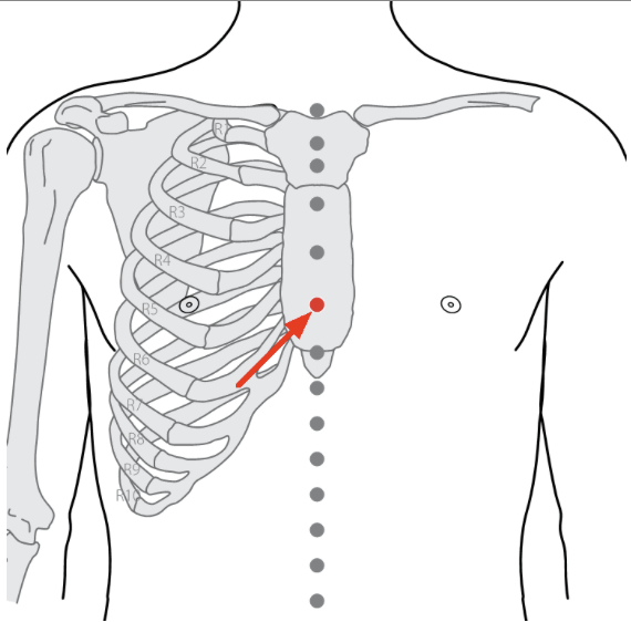 REN17 Dr. Debbie Lee, Dr.TCM, Acupuncturist & Herbalist