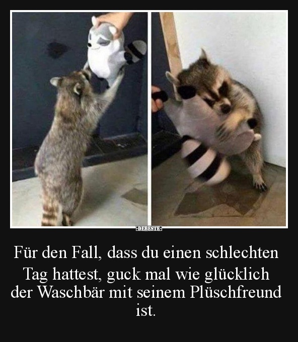 Für Den Fall, Dass Du Einen Schlechten Tag Hattest.. | Lustige Bilder, Sprüche, Witze, Echt Lustig 680_x_592_jpg