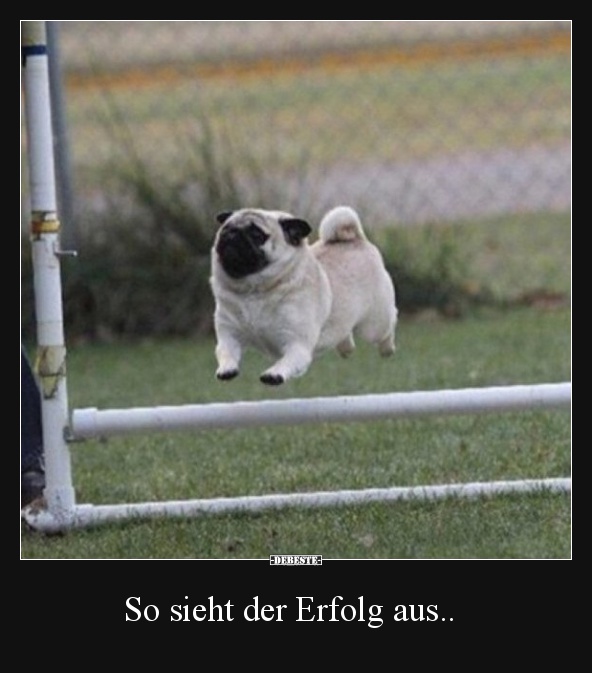 So Sieht Der Erfolg Aus Lustige Bilder Spruche Witze Echt Lustig