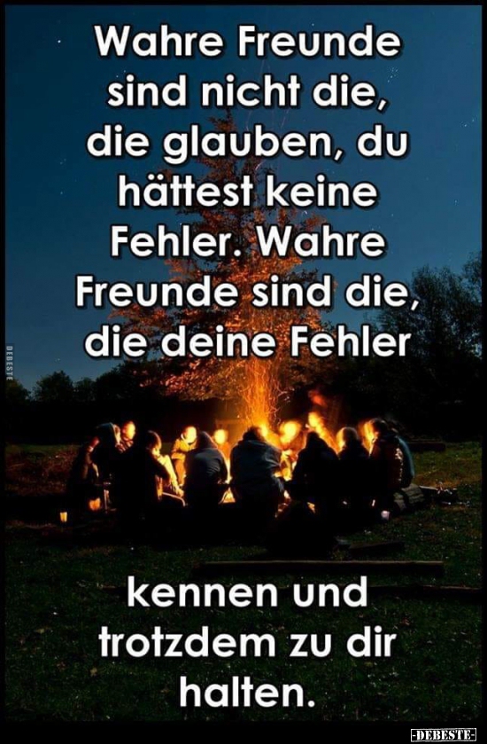Wahre Freunde Sind Nicht Die Die Glauben Lustige Bilder Spruche Witze Echt Lustig