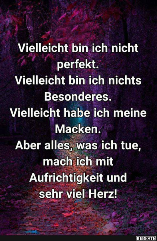 Vielleicht Bin Ich Nicht Perfekt Lustige Bilder Spruche Witze Echt Lustig
