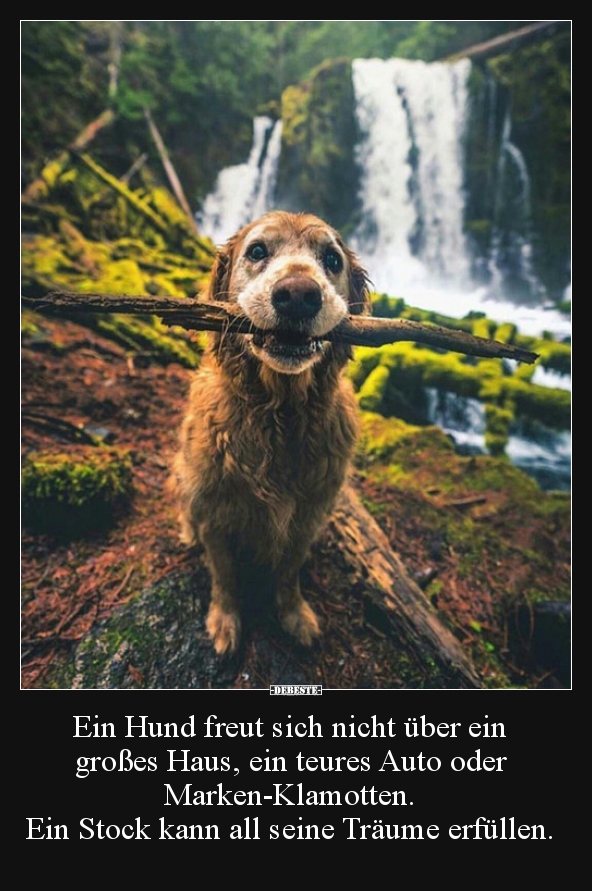Es handelt sich um motive zum thema wohnen, bauen oder glück, auf denen ein kurzer spruch angebracht ist, mit . Ein Hund freut sich nicht Ã¼ber ein groÃes Haus, ein