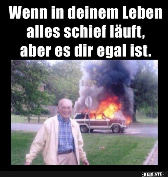 Wenn In Deinem Leben Alles Schief Lauft Aber Es Dir Egal Ist Lustige Bilder Spruche Witze Echt Lustig