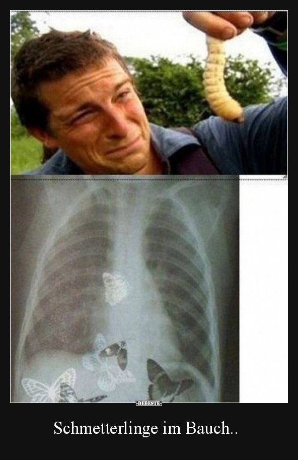 Schmetterlinge Im Bauch Lustige Bilder Spruche Witze Echt Lustig