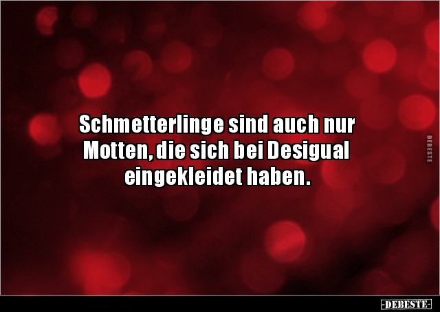 Schmetterlinge Sind Auch Nur Motten Die Sich Bei Desigual Lustige Bilder Spruche Witze Echt Lustig