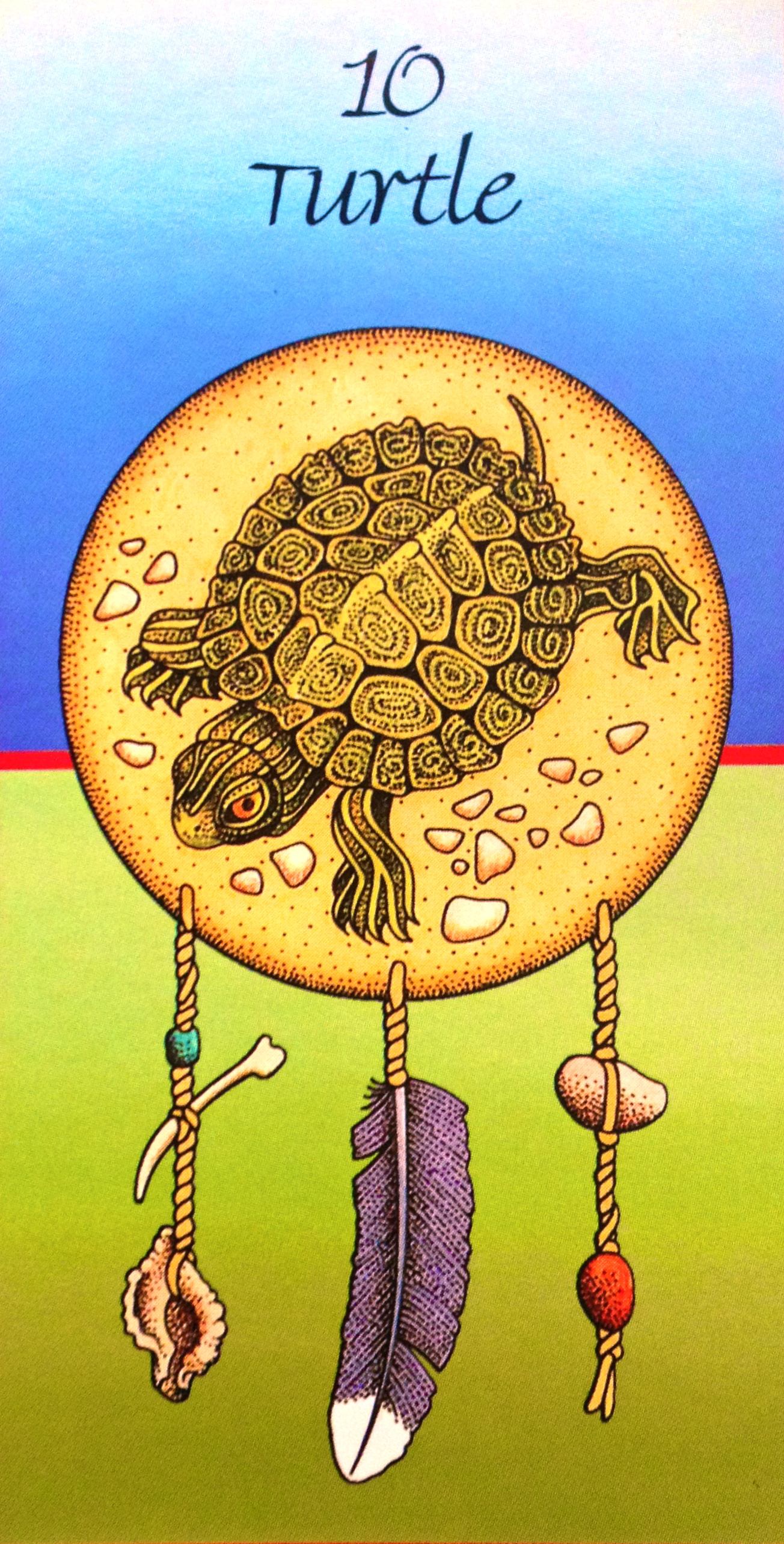 This guidebook explains the meaning of each of the 74 cards in the colour medicine oracle cards deck, and offers readers positive daily affirmations and fun visualisation techniques to use for meditation. Turtle Medicine Archangel Oracle