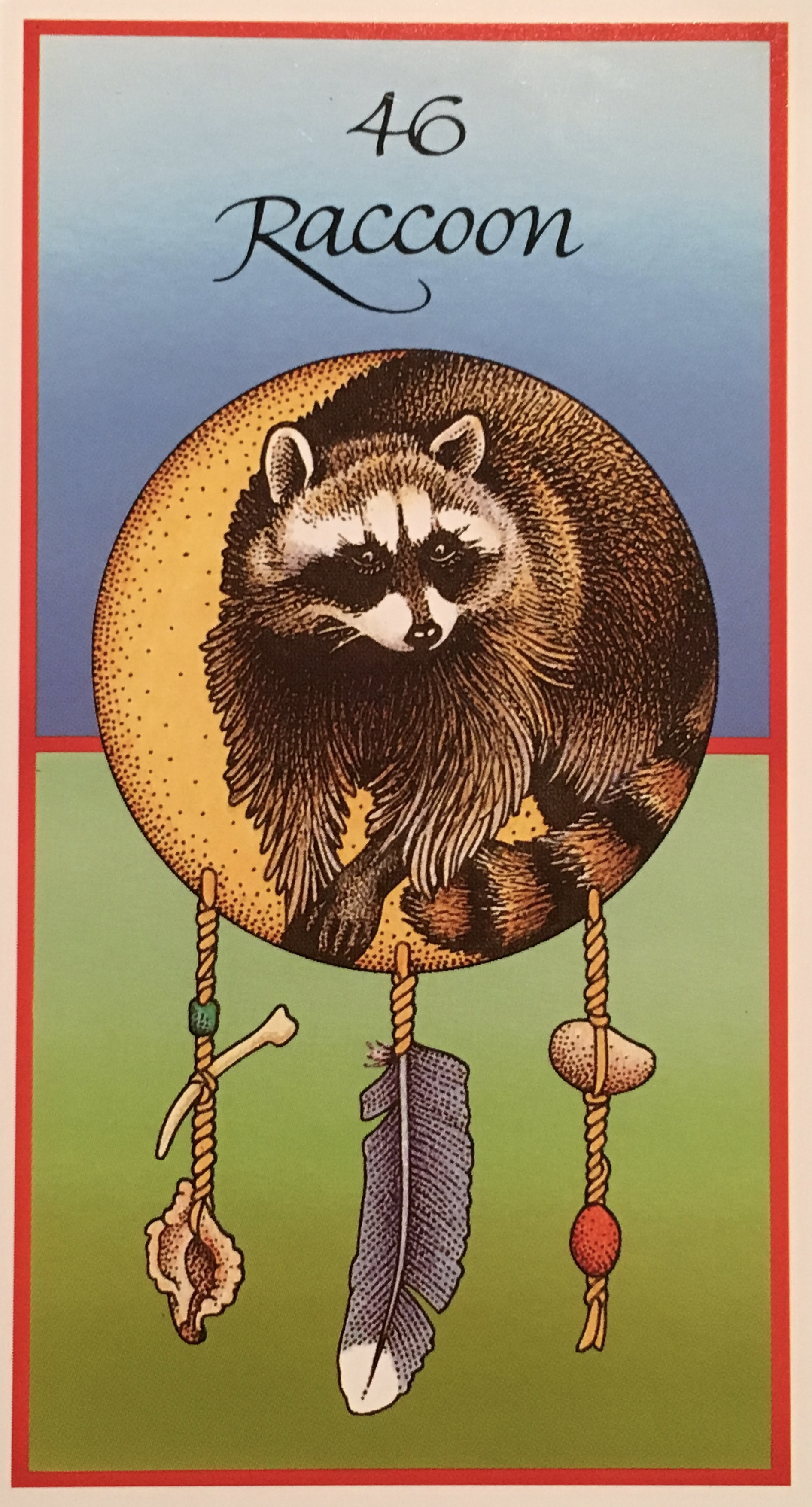 David carson was raised in oklahoma by his choctaw mother and aunts, who taught him the ways and signs of animals. Raccoon Archangel Oracle