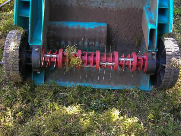 Die optimale zeit zum vertikutieren ist im frühjahr zwischen anfang april bis ende mai und im herbst zwischen mitte september und mitte oktober. Rasen lÃ¼ften | deingruen.de