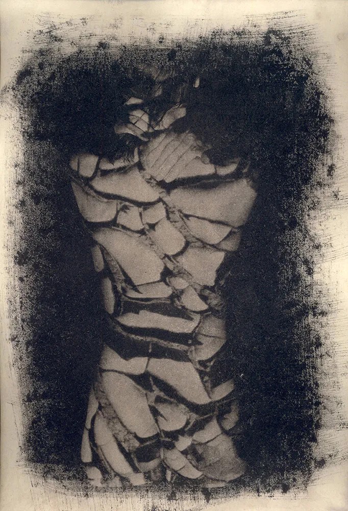 cyanotype © deinitio photography