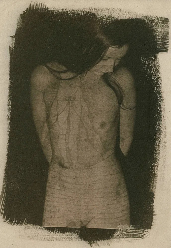 cyanotype © deinitio photography