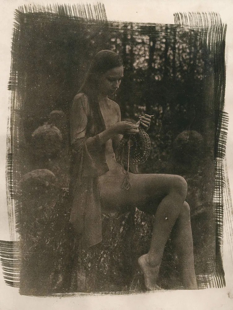 cyanotype © deinitio photography