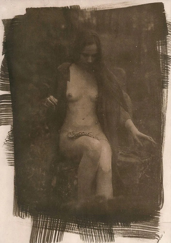 cyanotype © deinitio photography