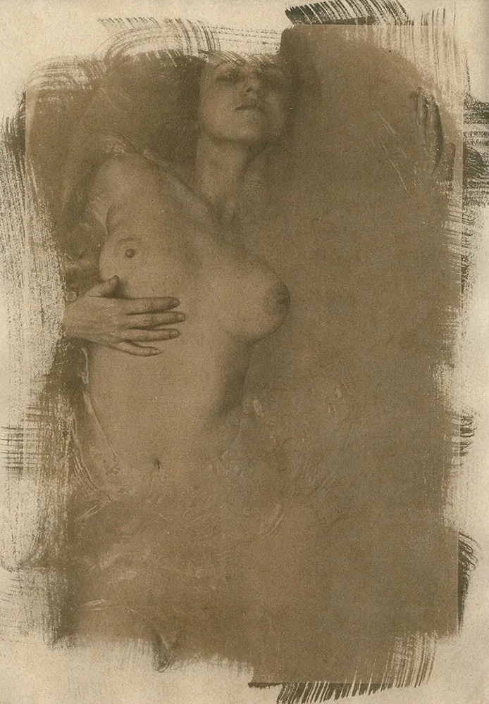 cyanotype © deinitio photography