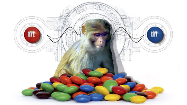 make a choice, we protect our self esteem by rationalizing that