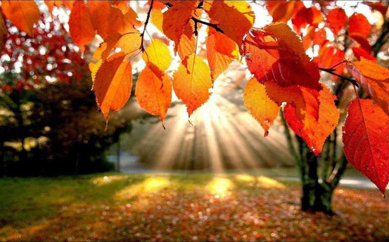 Este 2021, el equinoccio de otoño ocurrirá el próximo 22 de septiembre aproximadamente a las 14:21 horas del tiempo del centro de méxico, . 8xv Tmjqmeb8um