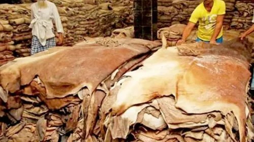 কোরবানির ঈদ সামনে রেখে প্রস্তুতি জোরদার, ১২ ঘণ্টায় বর্জ্য অপসারণের নির্দেশ
